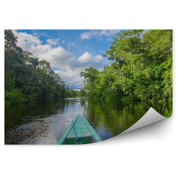 Papier peint Forêt Tropicale Feuilles Vertes Fougères