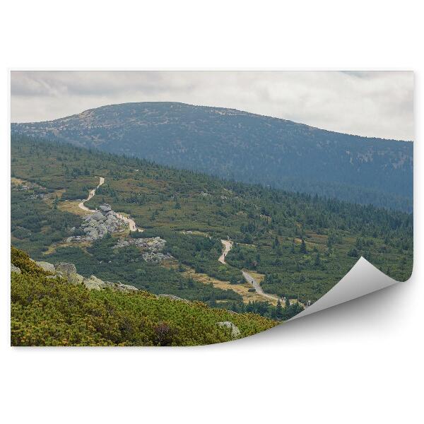 Papier peint Sentier De Verdure Dans Les Montagnes À Krkonoše