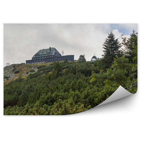 Papier peint Bâtiment Forestier Vert Au Sommet De La Montagne