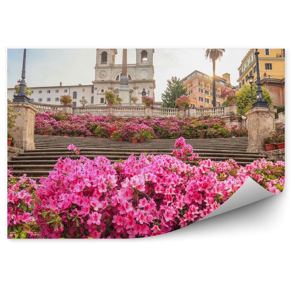Papier peint Trinità Dei Monti Church Buildings Stairs Flowers Plants