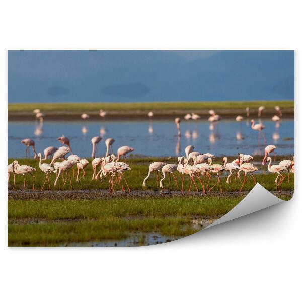 Papier peint Flamants Roses Lac Montagnes Oiseaux