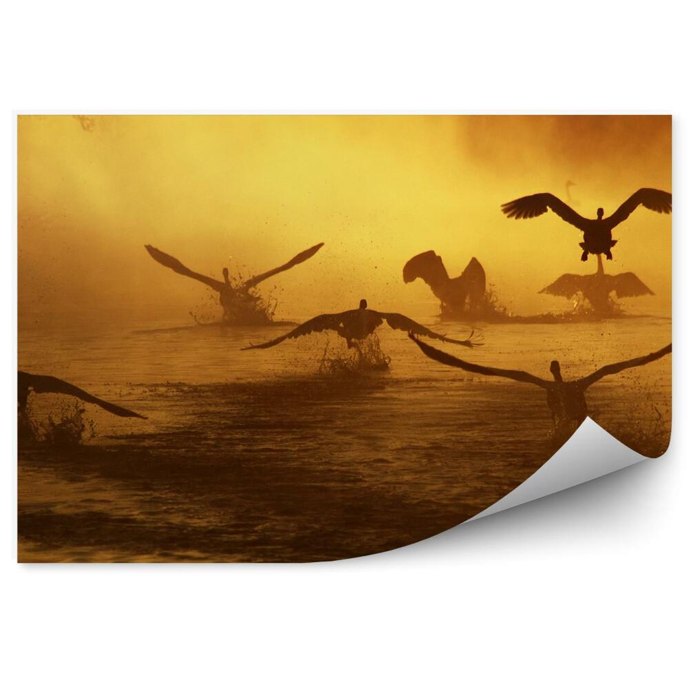 Papier peint Cygnes En Vol Au-Dessus De La Rivière
