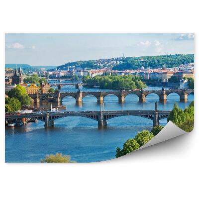 Papier peint République tchèque architecture plantes