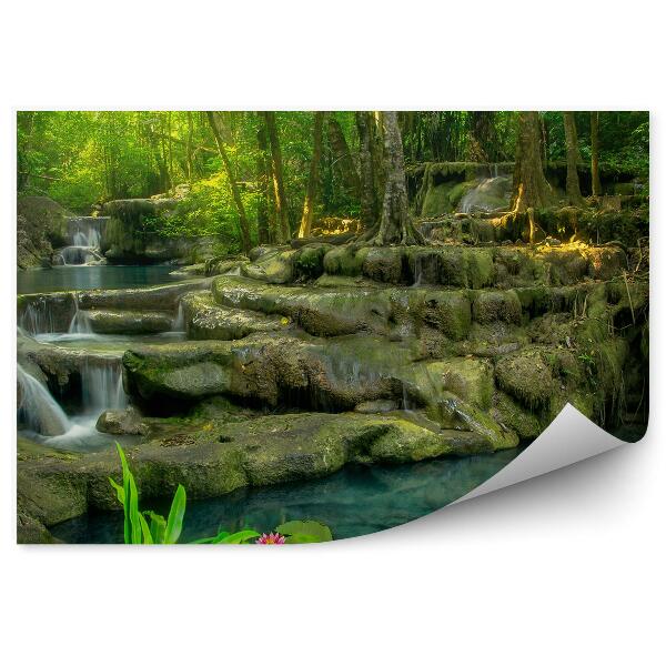 Papier peint Cascades eau jungle arbres rochers