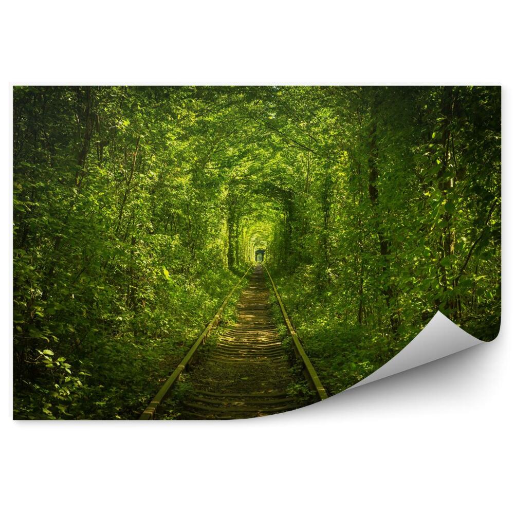 Papier peint Vieille Forêt Et Tunnel Ferroviaire