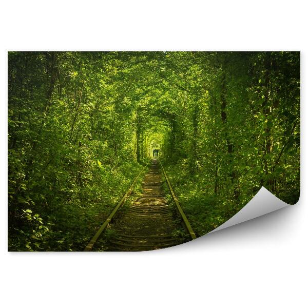 Papier peint Vieille Forêt Et Tunnel Ferroviaire