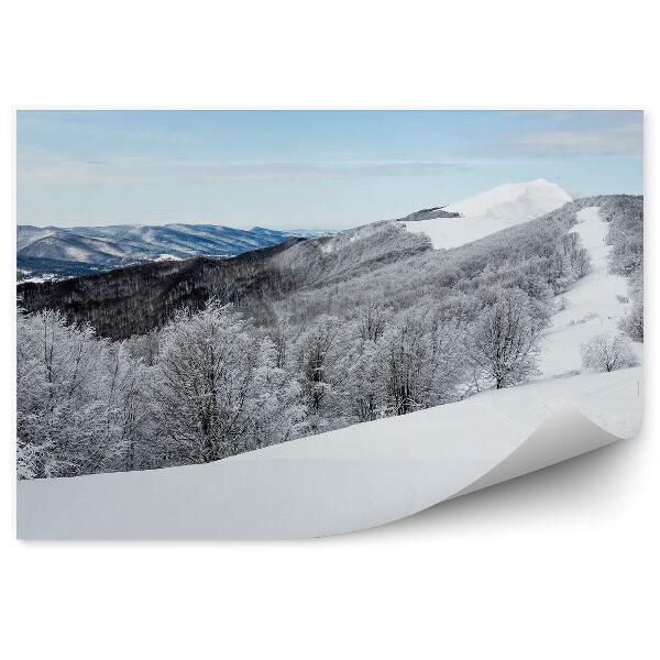 Papier peint Montagne Pic Neige Hiver Blanc