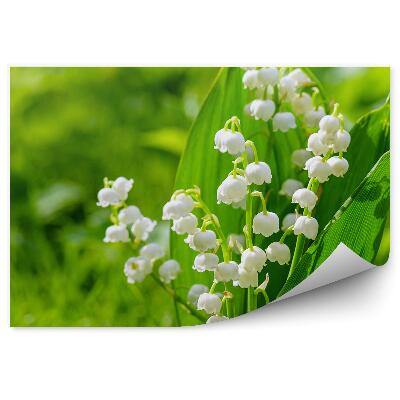 Papier peint Muguet dans une prairie