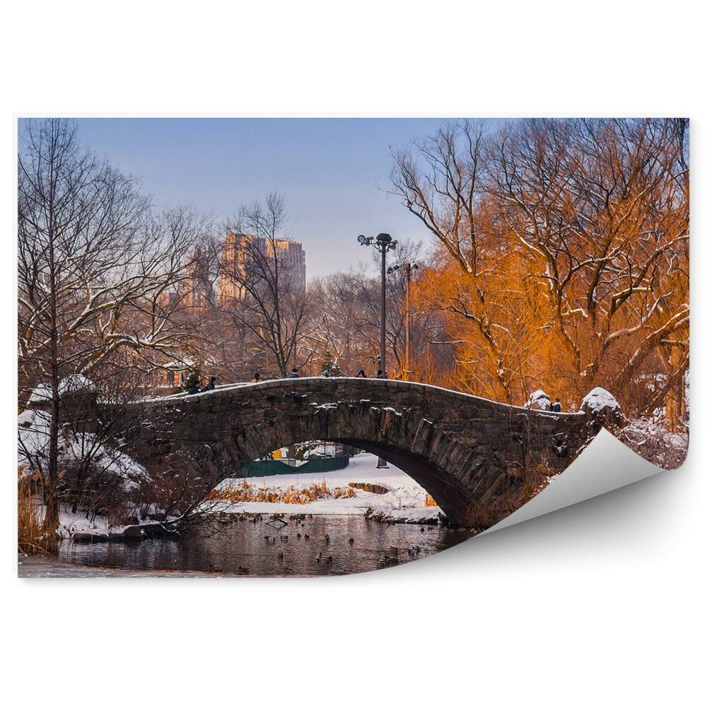 Papier peint Central Park Bridge Duck Trees Skyscrapers New York Winter Snow
