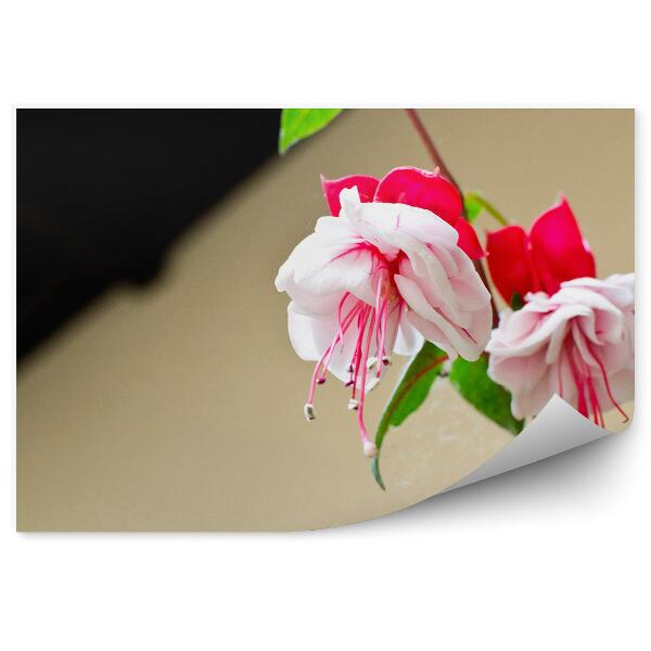 Papier peint Fleurs rouges fuchsia fond vert plantes colibris