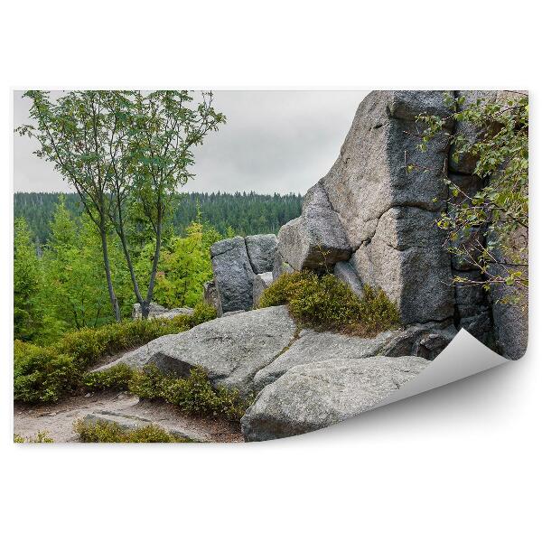 Papier peint Rochers Montagne Forêt Arbres Krkonoše