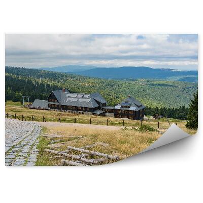 Papier peint Paysage De Montagne Forêt Verdure Montagnes Géantes