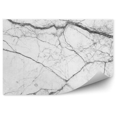 Papier peint Marbre blanc