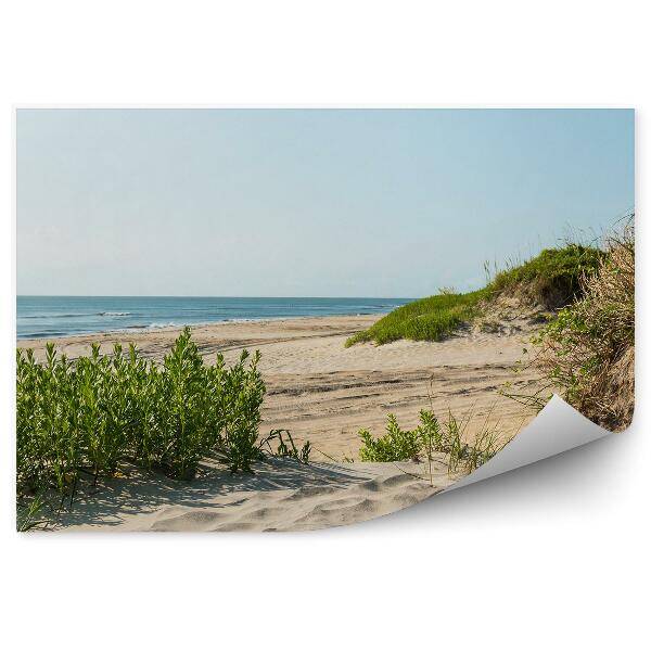 Papier peint Dunes De Plage Ciel Océan Plantes Caroline Du Nord