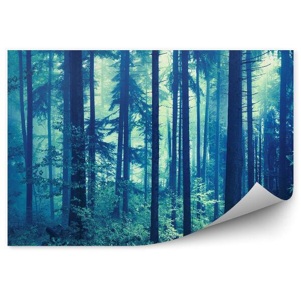 Papier peint Forêt De Conifères Bleue