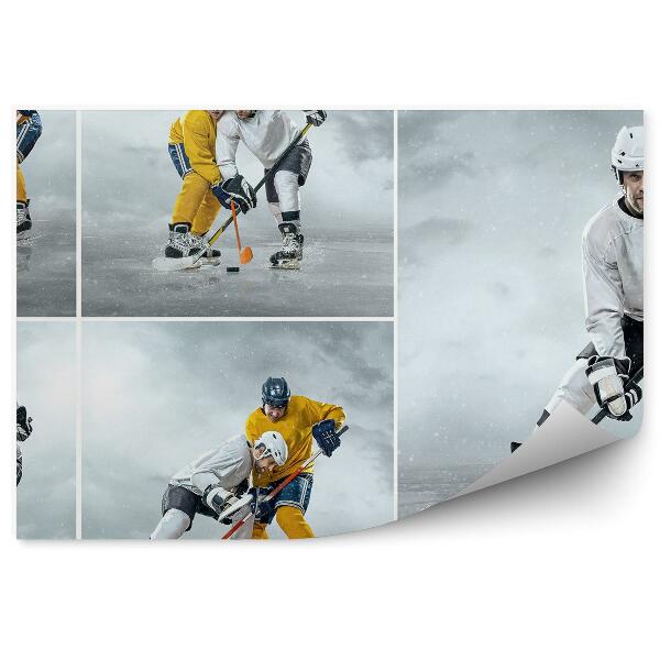 Papier peint Collage d'un joueur de hockey sur glace