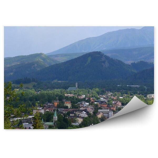 Papier peint Vue Zakopane Maisons Montagnes Arbres Plantes Ciel Nuages