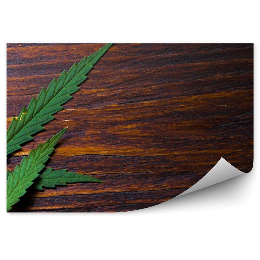 Papier peint Feuilles de chanvre sur un plancher en bois