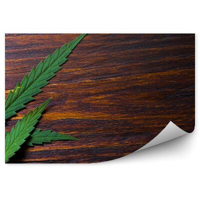 Papier peint Feuilles de chanvre sur un plancher en bois