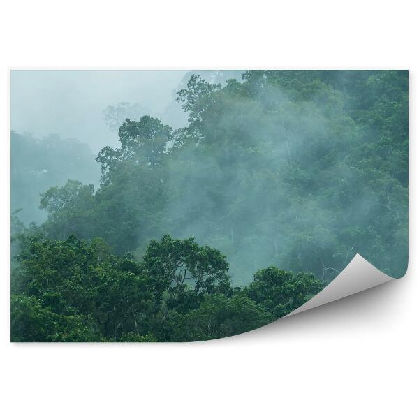 Papier peint Brume De Forêt Tropicale