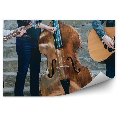 Papier peint Musiciens Guitare Double Basse Concert Escaliers