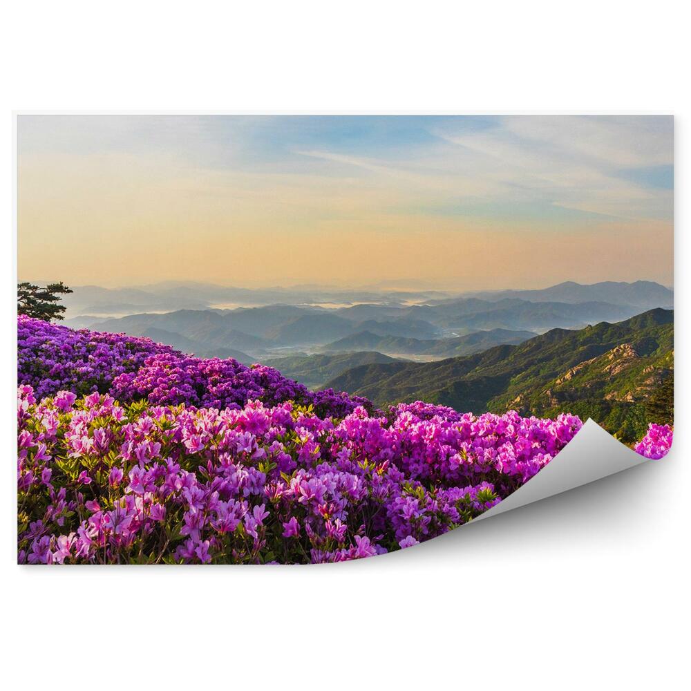 Papier peint Paysage de montagne et rhododendrons