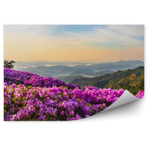 Papier peint Paysage de montagne et rhododendrons