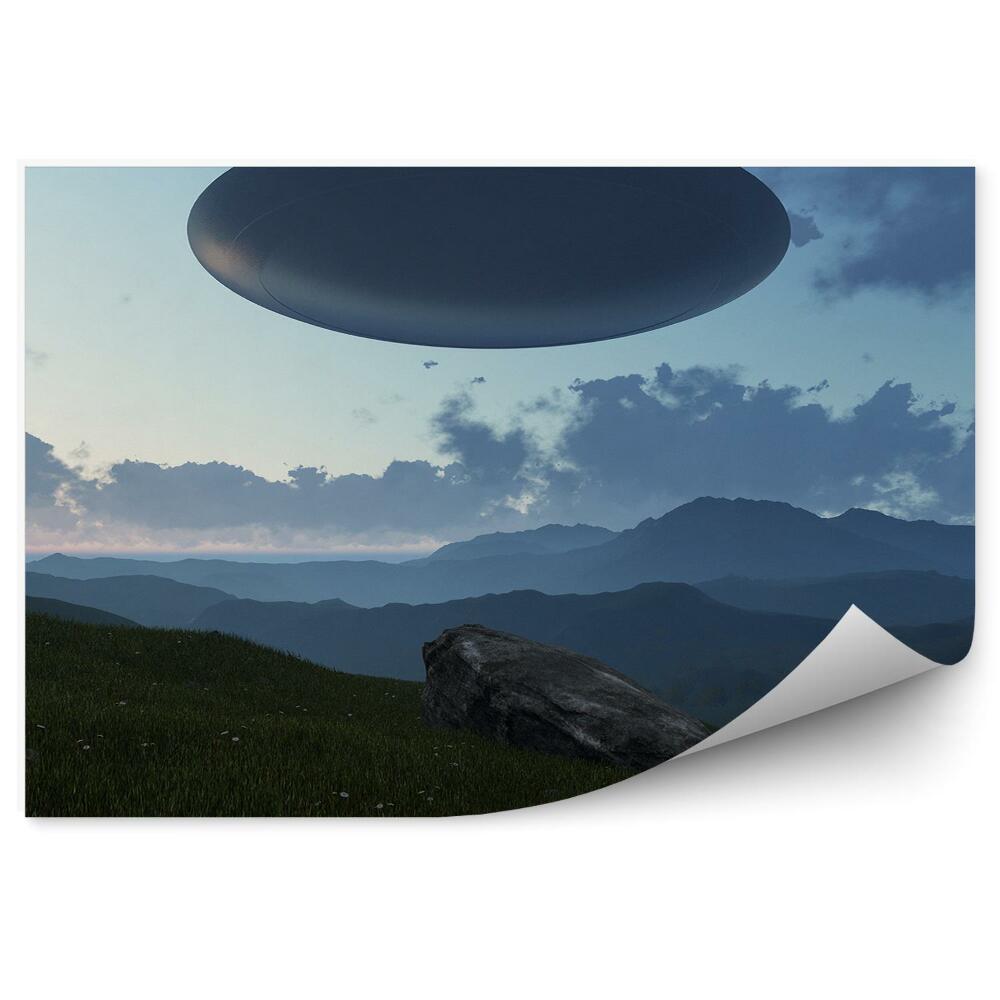 Papier peint 3d Ufo Herbe Fleurs Montagnes Rochers Ciel