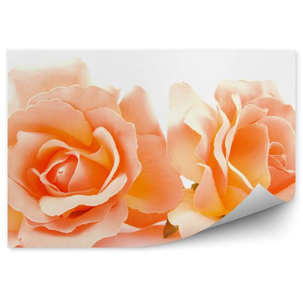 Papier peint Roses orange fond blanc