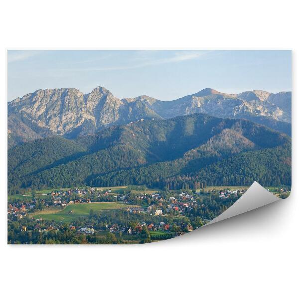 Papier peint Vue Montagnes Tatra Arbres Nature Maisons