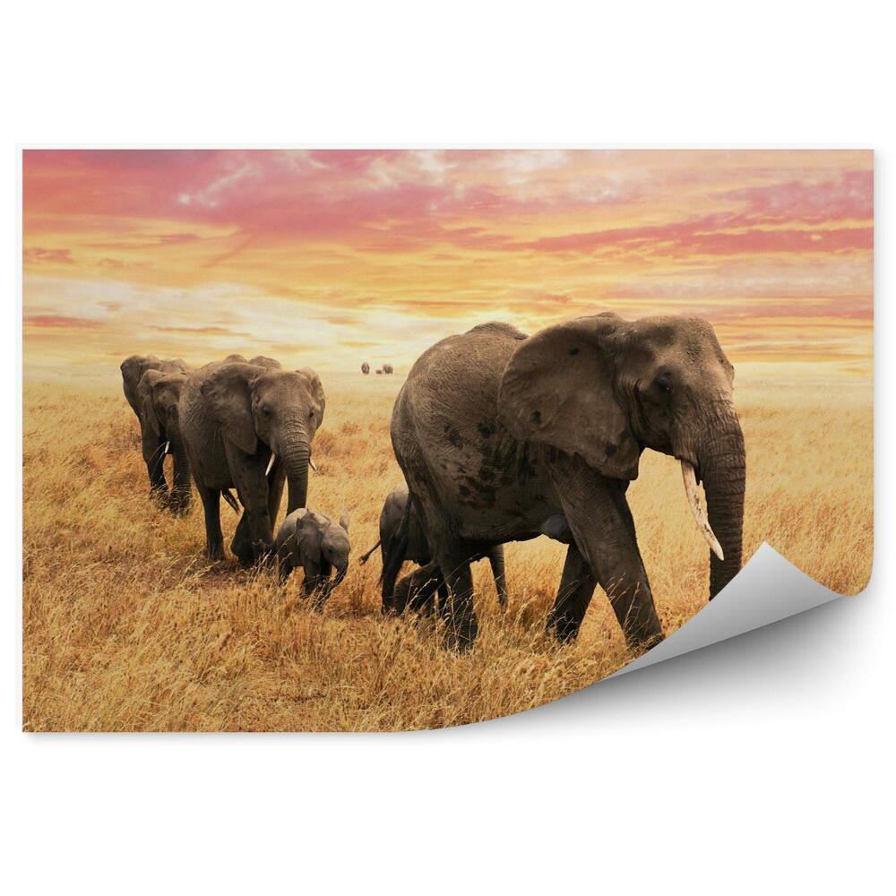 Tapisserie panoramique Famille d'éléphants errants