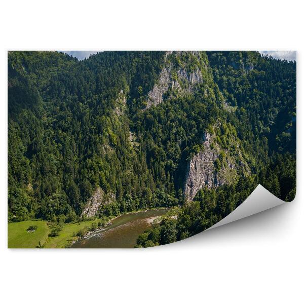 Papier peint Vue Sur Le Dunajec À Partir D'une Vue À Vol D'oiseau Pieniny