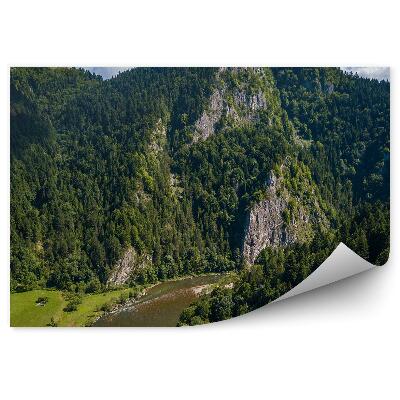 Papier peint Vue Sur Le Dunajec À Partir D'une Vue À Vol D'oiseau Pieniny