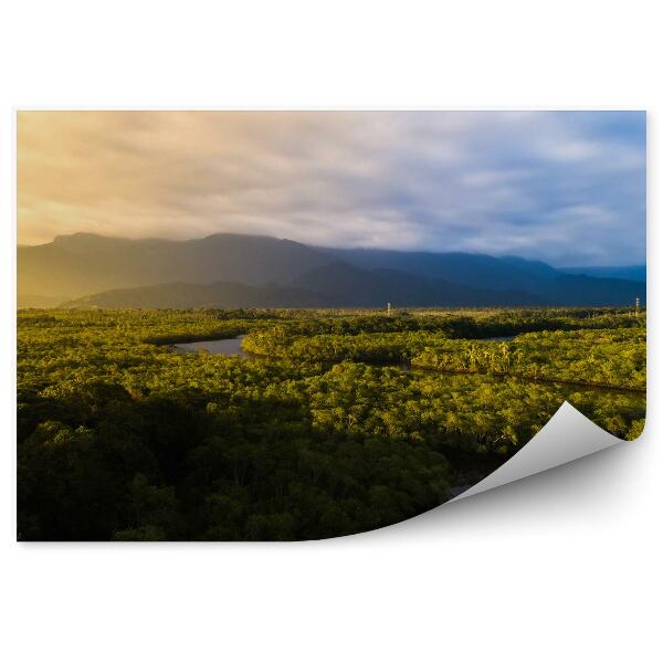 Papier peint Piquets Végétation verte Ciel Nuages Amazonie