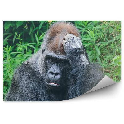 Papier peint Gorille Introverti Sur Fond De Végétation Tropicale