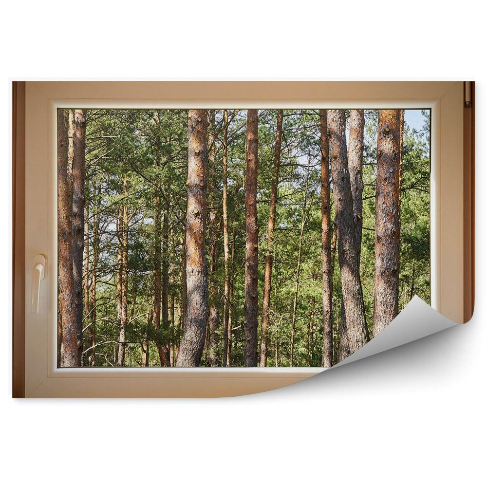 Papier peint Vue de la forêt depuis la fenêtre d'une maison en bois