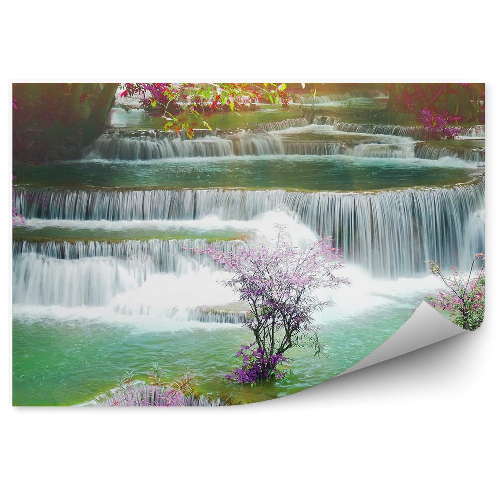 Papier peint Pierres Cascade Plantes Couleurs