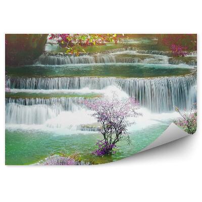 Papier peint Pierres Cascade Plantes Couleurs