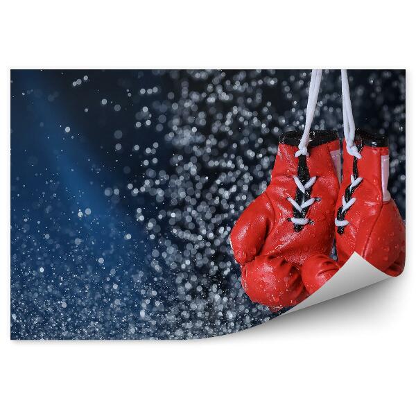 Papier peint Gants de boxe pluie