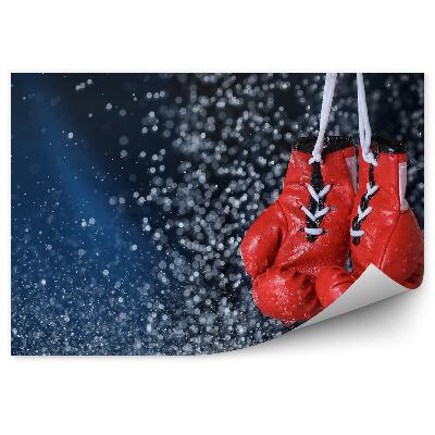 Papier peint Gants de boxe pluie