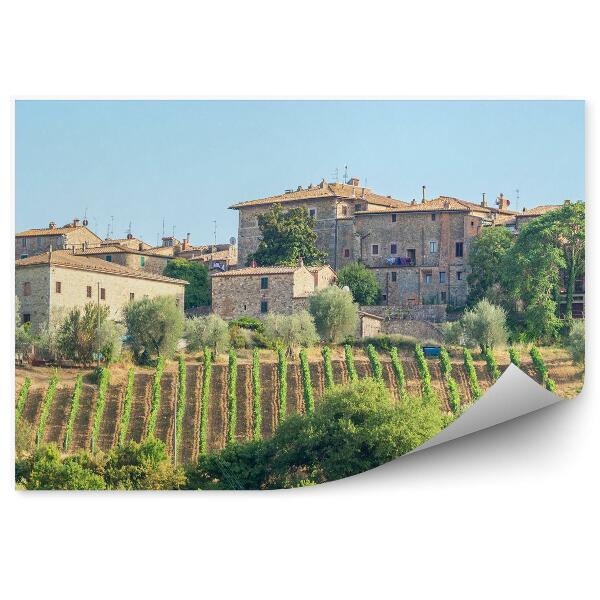 Papier peint Bâtiment Arbres Vignoble Ciel Nuages Toscane