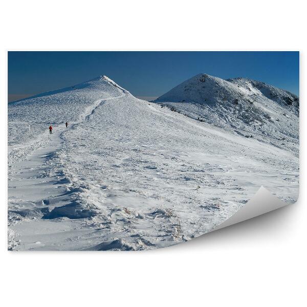 Papier peint Paysage De Chemin De Montagne Hivernal