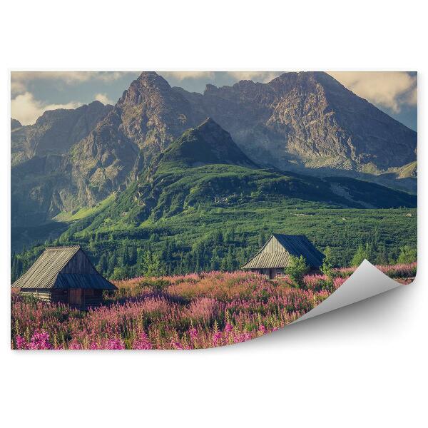 Papier peint Chalets Des Montagnes Des Tatras Arbres Fleurs Plantes Ciel Nuages