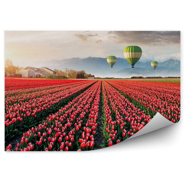 Papier peint Beau champ de tulipes rouges ciel nuages ballons montagne