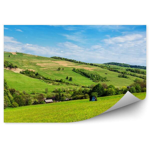 Papier peint Clairière De Zilen Arbres Montagnes