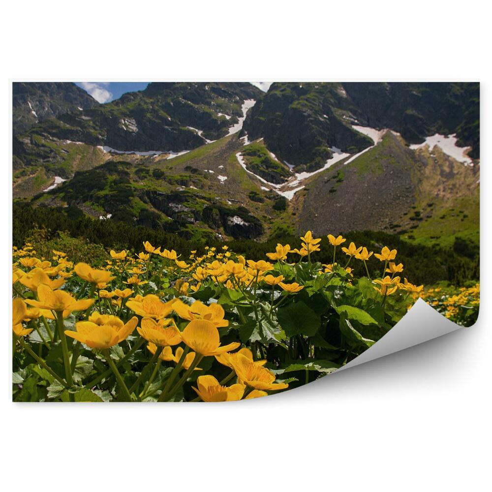 Papier peint Fleurs Jaunes Clairière Montagne Giewont