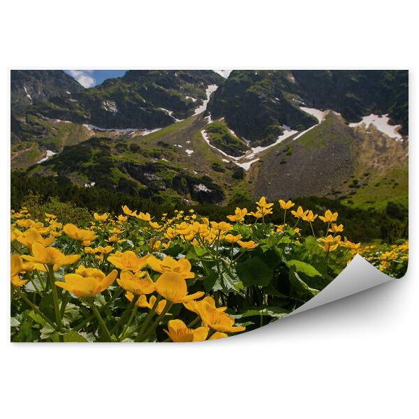 Papier peint Fleurs Jaunes Clairière Montagne Giewont