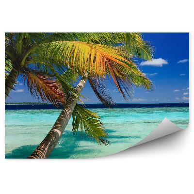 Papier peint palmiers vagues eau île exotique