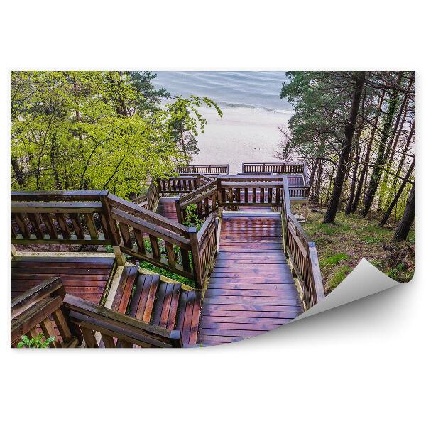 Papier peint Escalier en bois au bord de la plage arbre eau