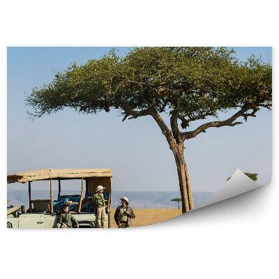 Papier peint Le safari de l'arbre généalogique se poursuit